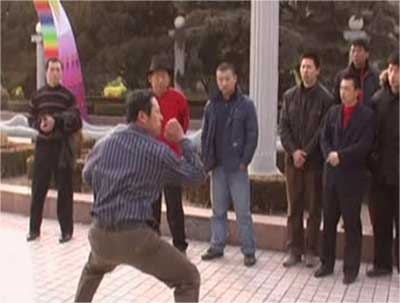 中华武术八极拳