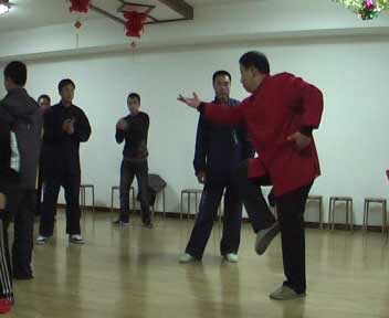 中华武术八极拳