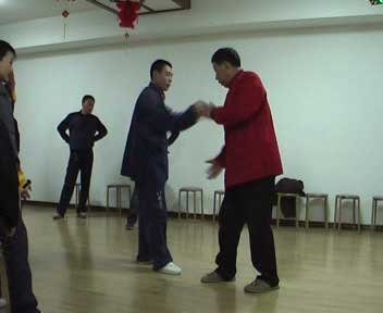 中华武术八极拳