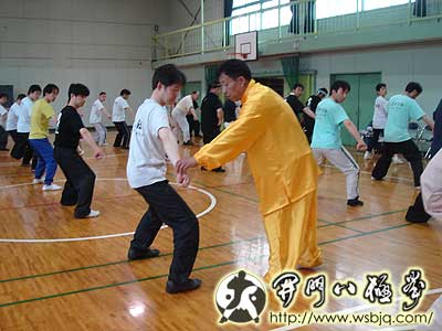 中华武术八极拳