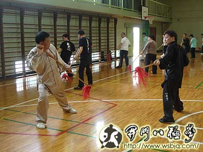 中华武术八极拳