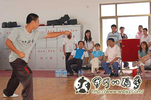 中华武术八极拳