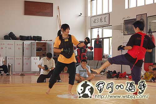 中华武术八极拳